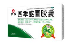 四序伤风胶囊