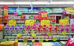药店六大摆设要害