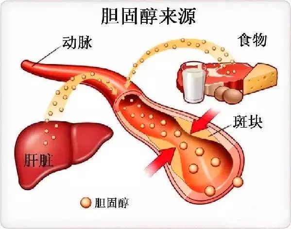 天游ty8·(中国区)_天游线路检测中心