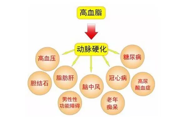 天游ty8·(中国区)_天游线路检测中心