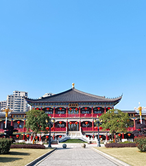 新闻资讯-天游ty8官网